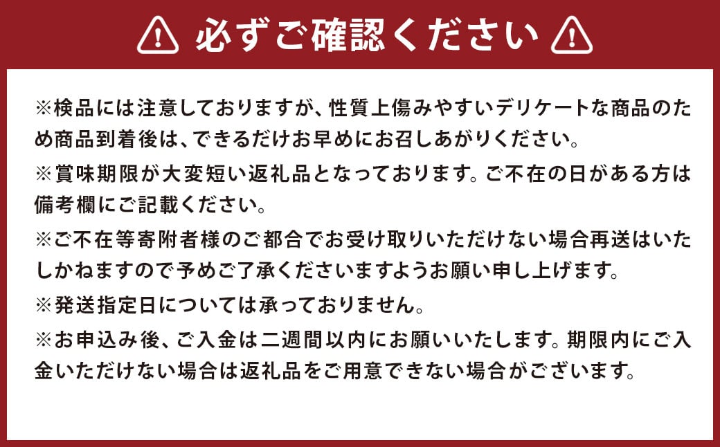 小玉 すいか 2玉入 約3kg【2025年5月下旬～6月上旬発送予定】