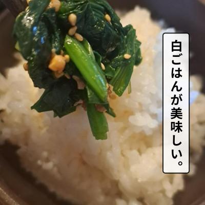 ふるさと納税 白山市 白山麓のしょうゆ糀 3個  ★生きた発酵食の万能調味料 ★手軽で便利、しっかり健康。★レシピ付 |  | 03