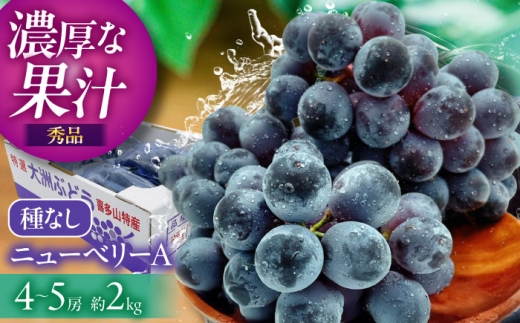 ぶどう【先行予約】【2026年8月中旬から順次発送】大洲市産 ニューベリーA 4-5房入 2.0kg 果物 フルーツ デザート 旬 数量限定 葡萄 ぶどう ブドウ グレープ 愛媛県大洲市/株式会社フジ・アグリフーズ [AGBA024]ニューベリーA 種無し 種なし 種無し 大粒 高級 新鮮 厳選 贅沢 人気 美味しい おいしい 甘い 食べやすい おすすめ オススメ