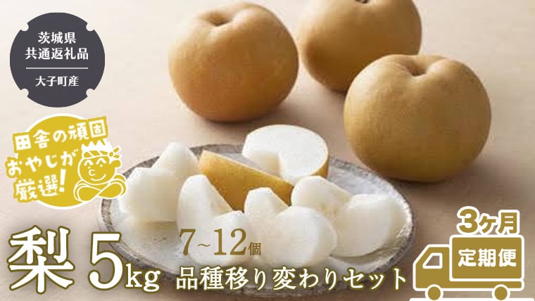 
            【定期便】梨 5kg（7〜12個）品種移り変わりセット【2025年8月より3か月連続で発送】（茨城県共通返礼品 [梨]：大子町産） なし ナシ 果物 フルーツ 茨城県産
          