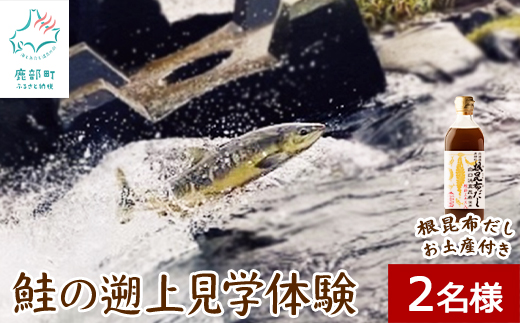 【お土産付き】鮭の遡上見学体験 2名様分 根昆布だし お土産付き 道の駅しかべ間歇泉公園 入園券付 旅行 観光 体験 送料無料 