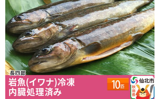 
岩魚（イワナ）冷凍10匹　内臓処理済み　10匹
