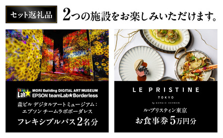 【ヒルズ周遊(麻布台・虎ノ門)ペア体験】チームラボボーダレス/ホテル虎ノ門ヒルズ ル・プリスティン食事券