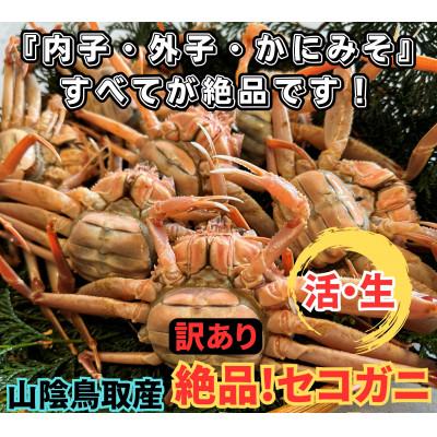 ふるさと納税 岩美町 鳥取網代港【訳あり】活!絶品セコガニ1kgセット【さかなや新鮮組】