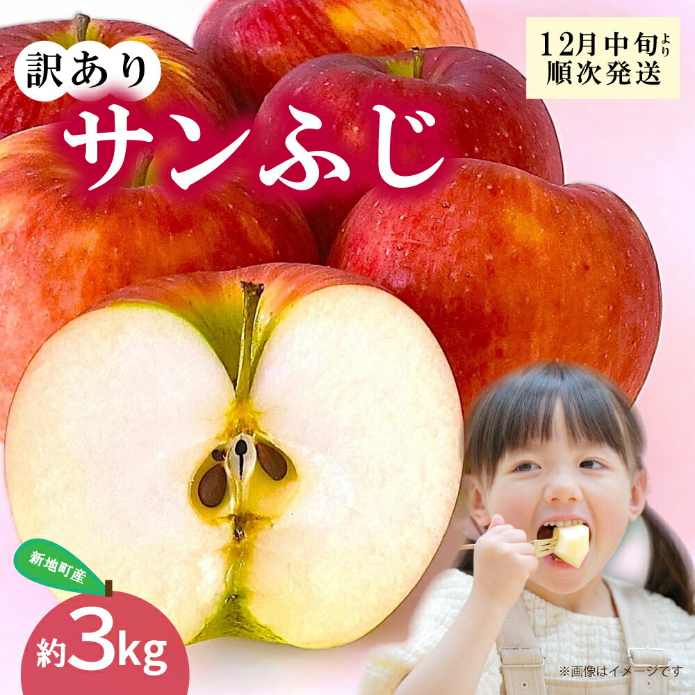 【ふるさと納税】新地町産 りんご サンふじ 訳あり 約3kg 1箱 | 果物 くだもの リンゴ フルーツ 旬 産地直送 農家直送 食品 人気 おすすめ 送料無料 お取り寄せ 福島県 新地町 訳アリ わけあり 葉とらず フジ サンフジ