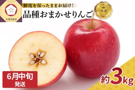 特撰りんご　青森県産 約3kg 品種おまかせ1種（ふじ か サンふじ）丸かじりサイズ （スマートフレッシュ貯蔵またはCA貯蔵）特選【6月中旬発送】