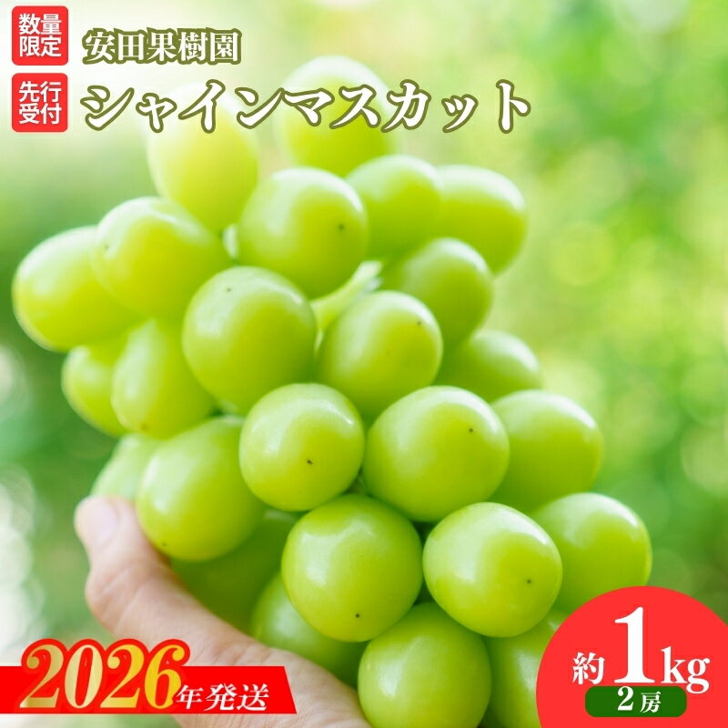 【ふるさと納税】No.2609ぶどう　シャインマスカット 約1kg【2026年発送 先行予約】