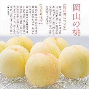 【2025年発送】岡山県産　白桃6玉(1.6kg以上)　化粧箱入り【配送不可地域：離島・北海道・沖縄県】【1281362】