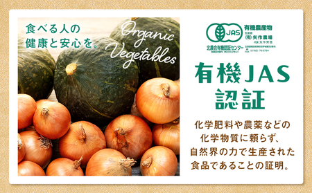【先行受付】R8年産 有機栽培玉ねぎ・かぼちゃセット 合計20kg | 玉ねぎ たまねぎ タマネギ 玉葱 かぼちゃ カボチャ 南瓜 セット 詰め合わせ 大容量 オニオン パンプキン 甘い 有機栽培 国