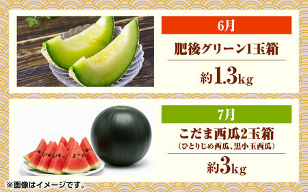 【先行予約】フルーツ6ヶ月定期便【2月~7月】果物定期便すいかメロン [ZBG077]