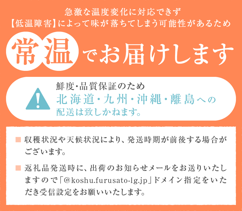 内田フルーツ農園直送の桃 4～7玉（約1.6kg～2kg）【2024年発送】（UF）B-161