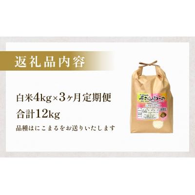 ふるさと納税 玖珠町 【令和8年産米先行受付】原さんちのお米 白米 4kg にこまる 3回定期便 米 お米 こめ |  | 03