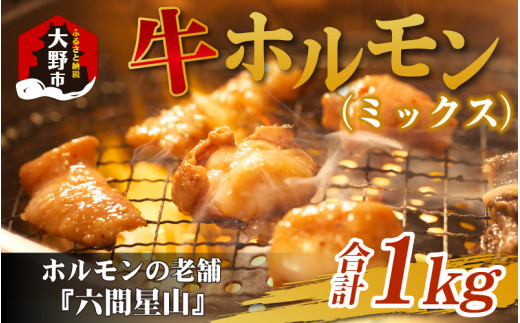 ホルモンの老舗 六間星山の牛ホルモン（ミックス）500g×2袋 計1kg
