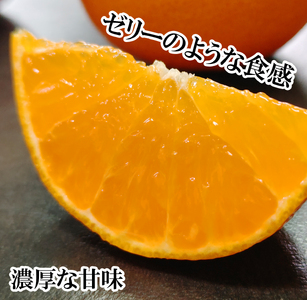 【3月下旬から発送予定】 あいか 愛果48号 2kg 家庭用 期間限定 愛媛県産 みかん 蜜柑 オレンジ 柑橘 果物 フルーツ 家庭用 おすすめ 愛媛県 松山市 【FT101_x】