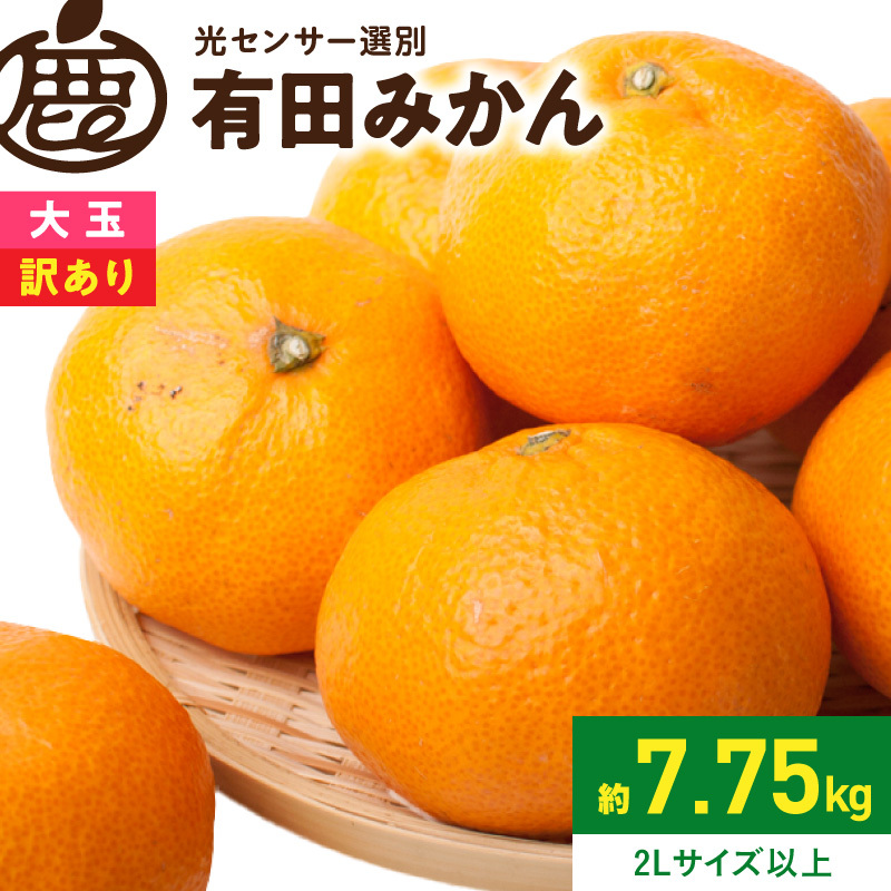 《2026年11月上旬～2027年1月下旬頃順次発送》【2026年先行予約】家庭用 大きな有田みかん約7.5kg+250g（傷み補償分）【わけあり・訳あり】【光センサー選果】_ZH7118