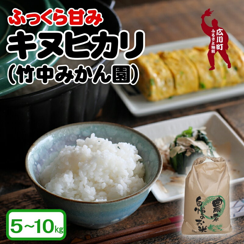 【ふるさと納税】 キヌヒカリ 精米 5kg 10kg 10000円 16000円 ※1月より順次発送予定 / お米 ごはん こめ 単一米 単一原料米 銘柄米 令和7年産 // vegi