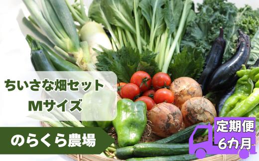 【先行受付】定期便６カ月　有機野菜ちいさな畑セット（Mサイズ　２～３人前）（NK-T504）