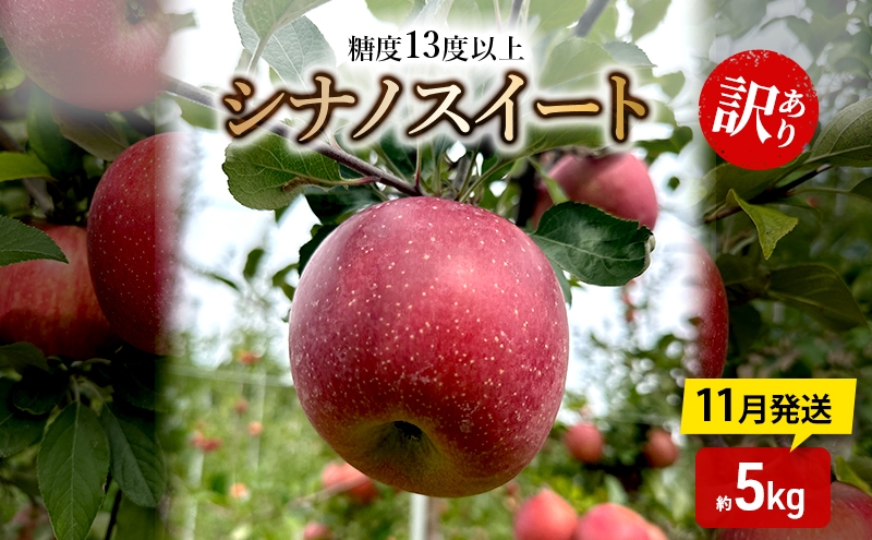 
            りんご【11月発送】糖度13度以上 訳あり品 家庭用 シナノスイート 約5kg【青森りんご】
          