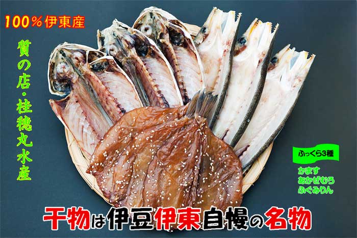 【ふるさと納税】伊豆・伊東 桂穂丸干魚店 ひもの詰合せ