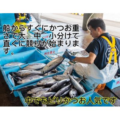 ふるさと納税 南国市 釣れたその日発送ビリかつお刺身300g×1節、わら焼きタタキ300g×1節(醤油・ニンニク・タレ付) |  | 01