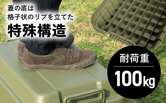 アウトドア 収納ケース グリーン Lサイズ1個 / キャンプ 収納 ボックス アウトドア / 恵那市 / 東谷株式会社 明智流通センター [AUAD023]