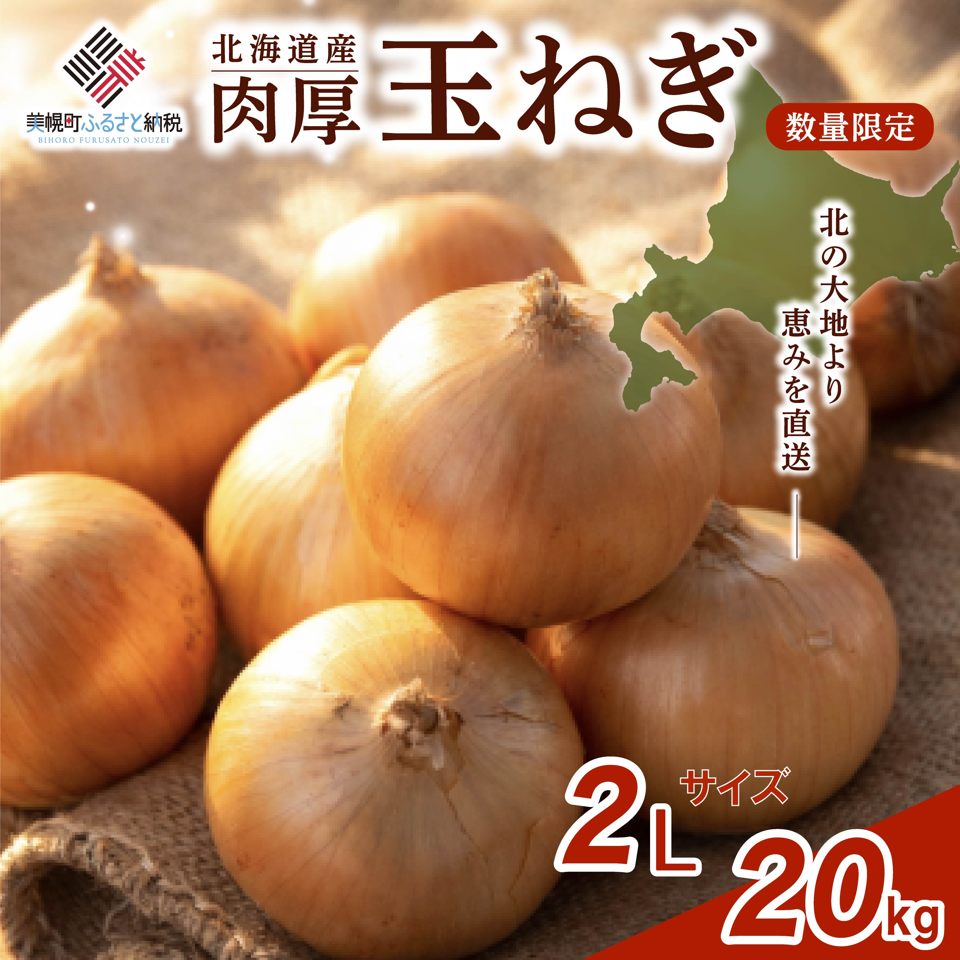 【ふるさと納税】 数量限定 玉ねぎ 20kg 【 先行予約 R8年度産 2Lサイズ】 人気 ランキング 玉ねぎ 国産 野菜 北海道 美幌町