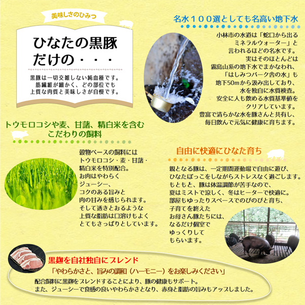 【牧場直販】ひなたの黒豚焼肉セット 700g（豚肉 黒豚 豚 豚バラ バラ ロース 焼肉 小分け）_イメージ3