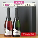 【ふるさと納税】産地限定 ワインぶどう品種使用 紫波スパークリングワイン2本セット（白・ロゼ） ふるさと納税 紫波町産 テロワール ワイン （AL065-1）