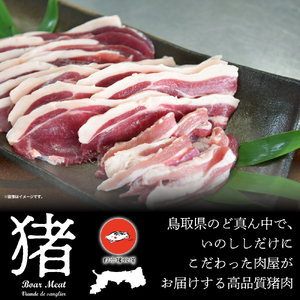 鳥取県産 天然猪肉 ミックススライス（1kg） 猪肉