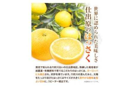 ＜ 先行予約 ＞ 八朔 はっさく 約5kg 12個 《2026年2月上旬‐2026月3月上旬頃出荷》仕出原八朔生産組合 果物 くだもの フルーツ 特選 ゼリー ジュース ピール 徳島県 美馬市 st-