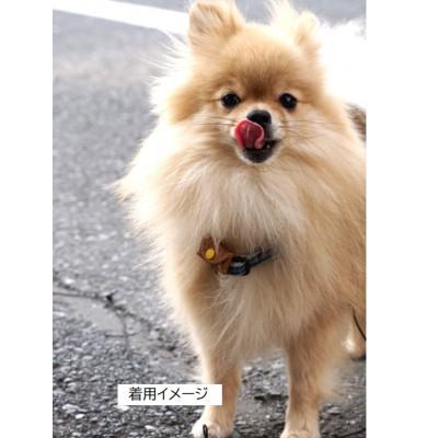 ふるさと納税 葛飾区 ワンちゃんネコさまに!『迷子にさせないお名前ポーチ「Amigo!」』小さいサイズブラック |  | 03