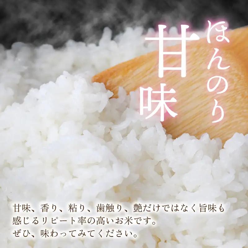 【令和8年産 新米】【3ヶ月定期便】越前大野産 一等米 帰山農園の棚田育ちコシヒカリ 5kg 無洗米