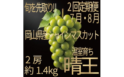
                  [HS]【定期便全2回】ぶどう先行予約7月・8月発送温室シャインマスカット晴王2房（合計約1.4kg）ブドウ 葡萄  岡山県産 国産 フルーツ 果物 ギフト デザート 食後 酸味が少ない 産地直送
                