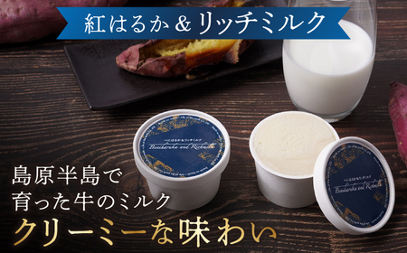 【こだわりの芋スイーツ】 紅はるか プレミアム ジェラート アソート 12個セット＜大地のいのち＞[CDA062] アイス ジェラート ｼﾞｪﾗｰﾄ ｱｲｽ ジェラート ジェラート アイス お試し バ