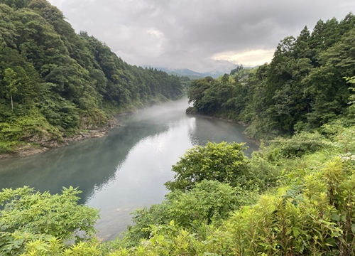 （冷蔵）　鮎　約1kg／大森水産　あゆ　お取り寄せグルメ　川魚　和食　三重県　大台町