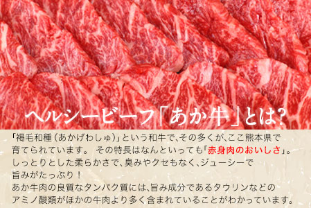 肥後のあか牛 焼き肉用 500g 長洲501 熊本 特産 あか牛《90日以内に出荷予定(土日祝除く)》