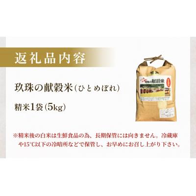 ふるさと納税 玖珠町 令和7年 玖珠の献穀米 5kg 米 ひとめぼれ 大分県 玖珠町 こめ お米 白米 |  | 01