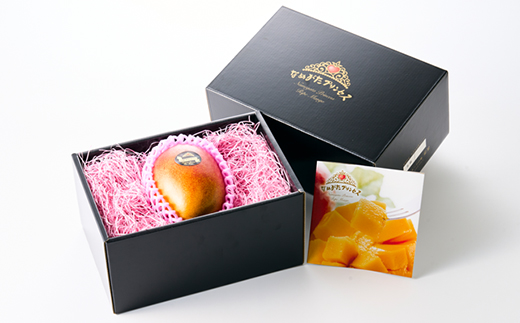 茨城県産 なめがたプリンセスマンゴー4L【500g以上】1個【配送不可地域：離島・沖縄県】