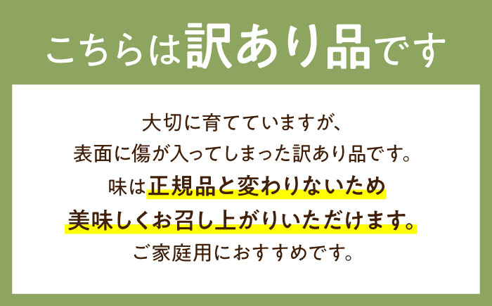 【2027年4月下旬～発送】【根強い人気!】 訳あり プリンスメロン 約4kg（7～13玉）（傷もの）/ メロン めろん フルーツ 果物 / 南島原市 / 南島原果物屋 [SCV024]