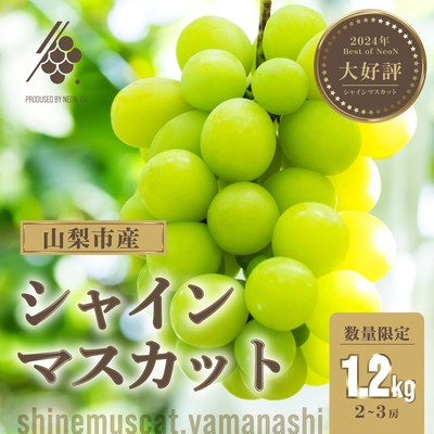 
             シャインマスカット 2～3房(計約1.2kg)＜訳あり＞【1567960】
          