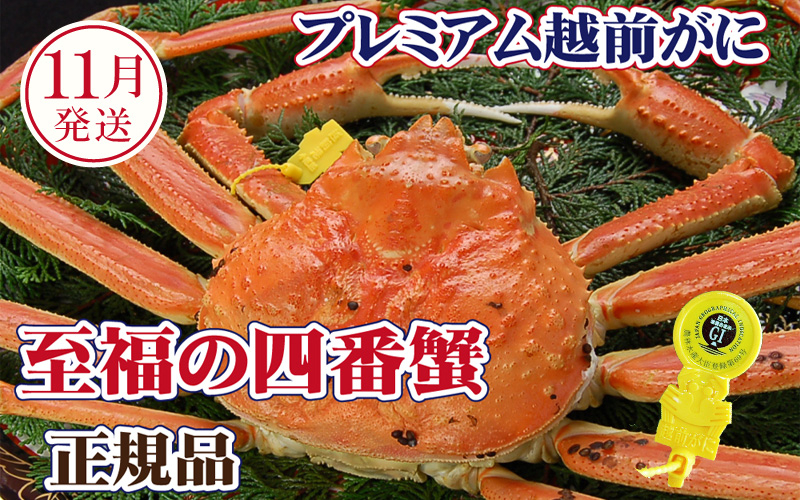 
            越前がに × 1杯（四番蟹）桐箱入り！至福のプレミアム越前がに【雄 ズワイガニ かに カニ 蟹 姿 生 ボイル 冷蔵 福井県】【11月発送分】希望日指定可 備考欄に希望日をご記入ください [e37-x007_11]
          