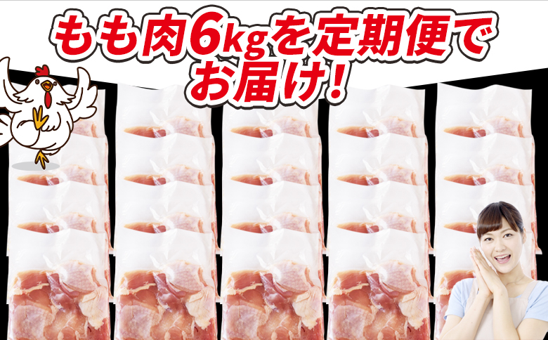 ＜宮崎県産若鶏切身 もも肉 6kg（300g×20袋）6か月定期便＞ 3か月以内に初回発送【 からあげ 唐揚げ カレー シチュー BBQ 煮物 チキン南蛮 小分け おかず おつまみ お弁当 惣菜 時短