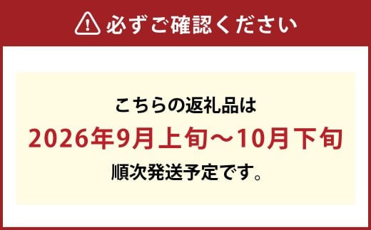 【無加温栽培】岡山県産桃太郎ぶどう2房入り（1房480ｇ以上）【2026年9月上旬～10月下旬 発送予定】【ぶどう 葡萄 人気フルーツ 岡山フルーツ おすすめフルーツ 岡山県 倉敷市】