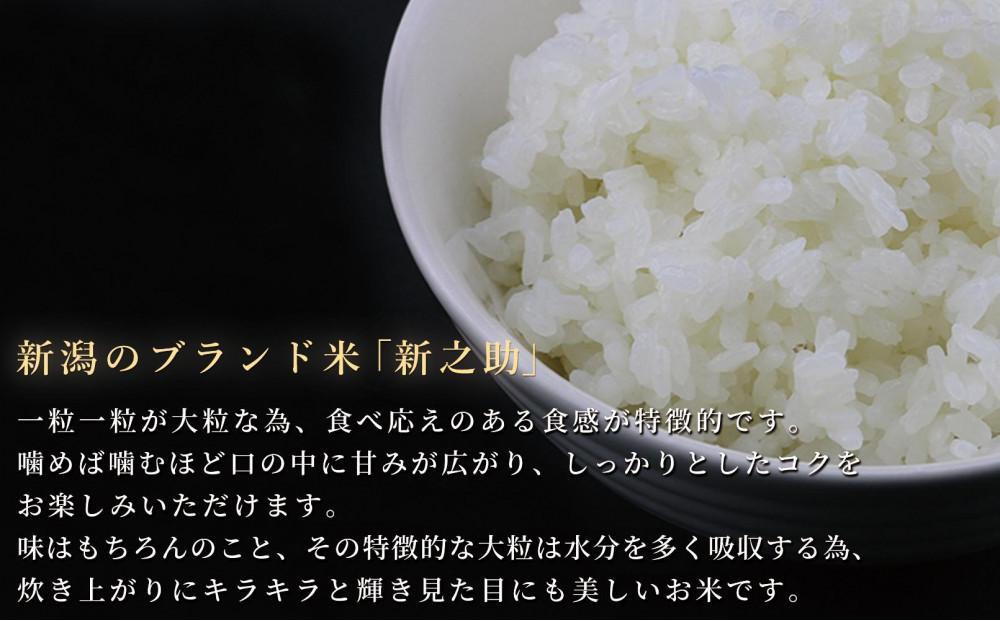 【3ヶ月定期便】令和7年産新米 中魚沼産「新之助(しんのすけ)」5kg×全3回127534-044