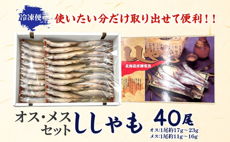 ししゃもセット オスメス魚貝類干物北海道産 ししゃもセット【40尾】