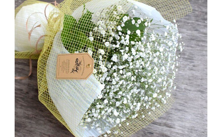 かすみそうの花束 かすみ草 カスミソウ 花束(小さいサイズ) 【 カスミソウ ブーケ 花 花束 花ギフト 】