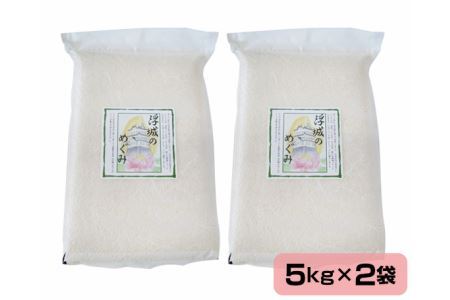 No.049 行田のお米　忍城献上米10kg［むかさ商店］