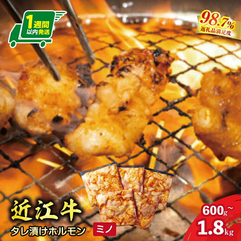 【 ふるさと納税 】 【一週間以内発送】近江牛 タレ漬けホルモン 600g / 900g / 1800g ホルモン ミノ 冷凍ホルモン ホルモン焼き 味付けホルモン 牛ホルモン 国産牛ホルモン 牛もつ もつ もつ焼き 焼肉 牛肉 牛 冷凍 近江フードJAPAN 肉の將助屋