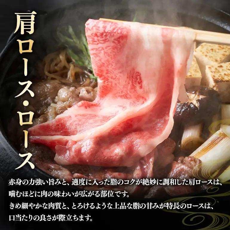 飛騨牛 A5～4等級 スペシャルセットA (A01-020)