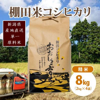 ふるさと納税 上越市 極少量米:数量限定令和6年産/新潟県上越市大島区産 棚田米コシヒカリ 8kg(2kg×4)精米 | 